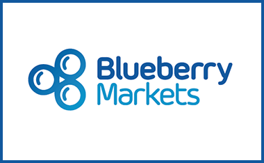 blueberry markets review listing image