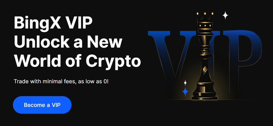 Bingx.com review - Cryptocurrency exchange review